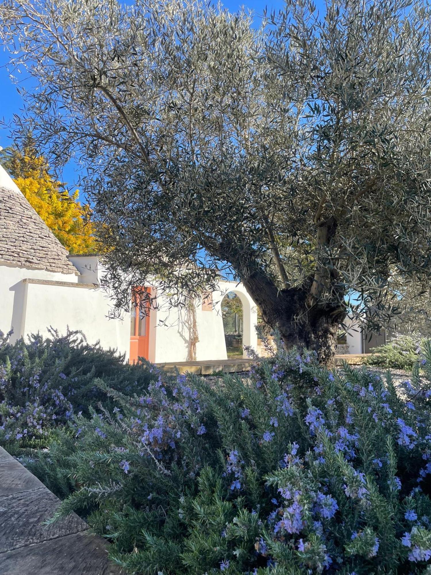 Trullo Panna Fragola - Exclusive Four Bedroom Villa & Private Pool Мартина-Франка Экстерьер фото